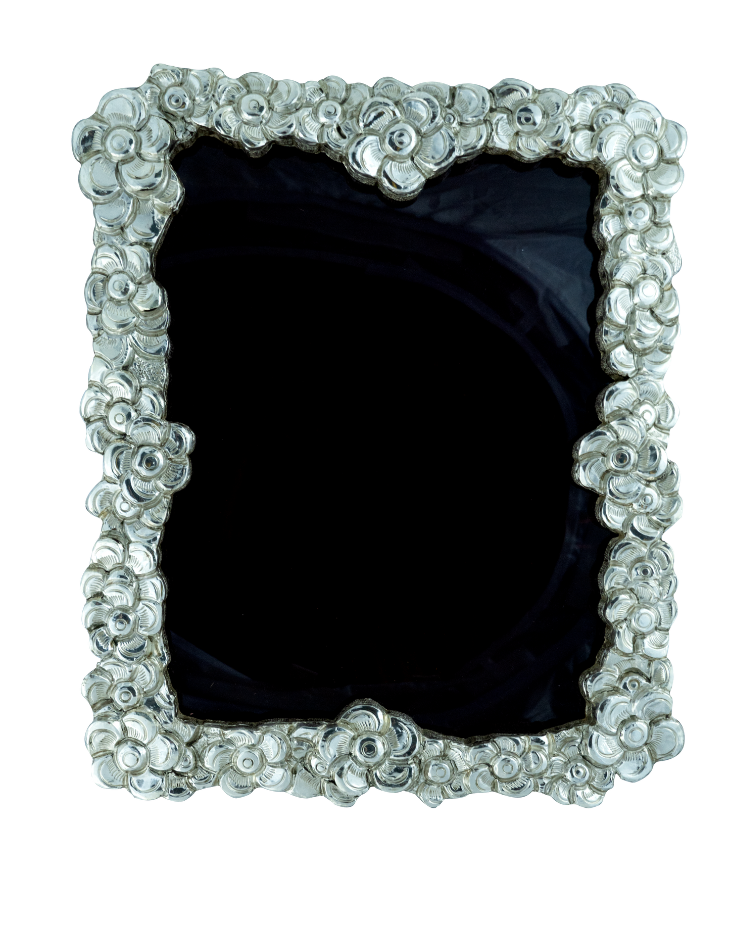 Wild Rose Frame