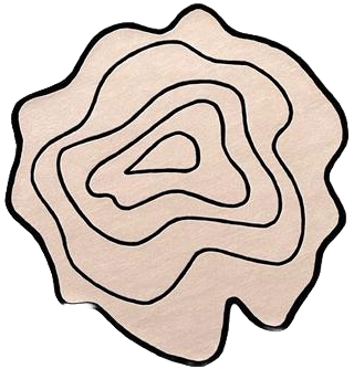 Abstract Concentric Amoebic Line Art Rug