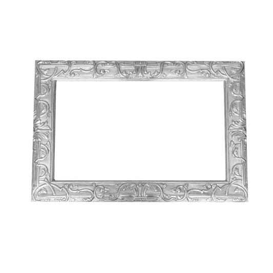 Vines Frame